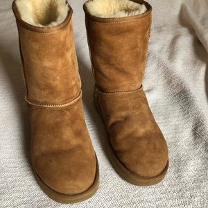 UGG Classic Short Chestnut Boots